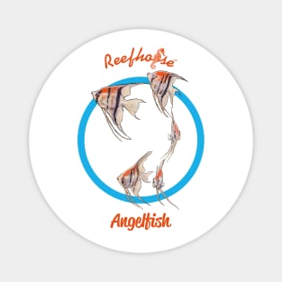Angelfish Magnet